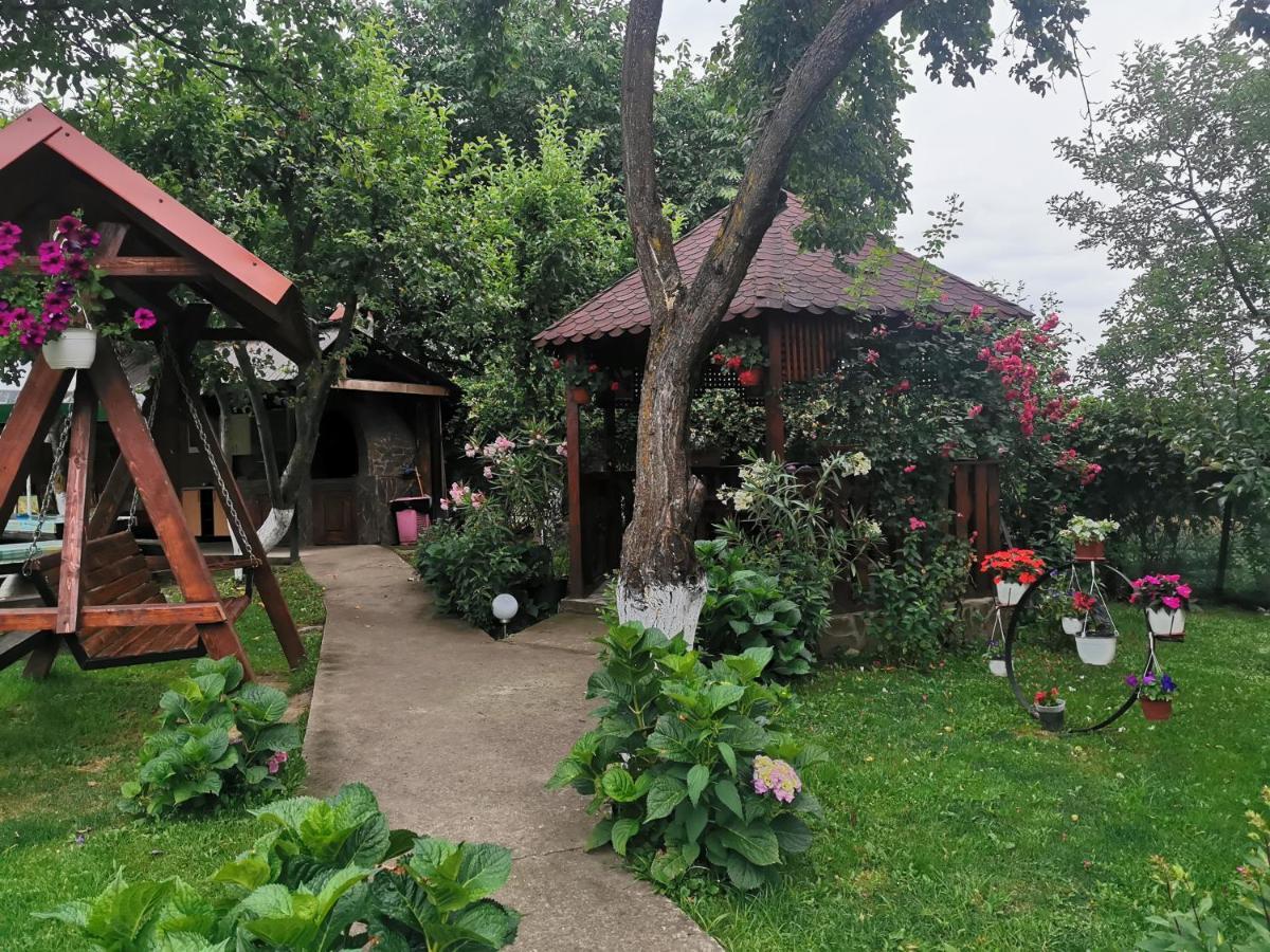 Casa Lidia Hotel Râu de Mori Exterior photo